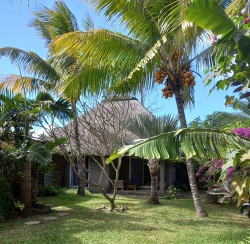 Brahmanhut - Eco Hut Experience In Harmony With Nature, Wellbeing And Spirit Bain Boeuf Экстерьер фото